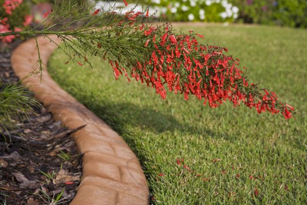 Brick Edging in American Fork